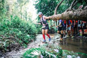 BIB: 
                            <button type="button" onclick="openModal(25466502)" class="btn btn-primary btn-sm float-right btn-popup" data-toggle="modal" data-target=".modal-high-quality">
                        <i class="fas fa-shopping-cart"></i> Add to Cart
                    </button>
                                            <button type="button" onclick="isThisMe(25466502, true)" class="btn btn-success btn-sm float-right btn-popup btn-isme hidden" data-toggle="tooltip" data-placement="bottom" title="นี่คือรูปของคุณใช่ไหม คลิกที่นี่เพื่อเอาเข้าอัลบั้ม">
                        <i class="fas fa-plus"></i> Add to album
                    </button>
                    <button type="button" onclick="isThisMe(25466502, false)" class="btn btn-warning btn-sm float-right btn-popup btn-isnotme hidden">
                        <i class="fas fa-ban"></i> Remove from album
                    </button>